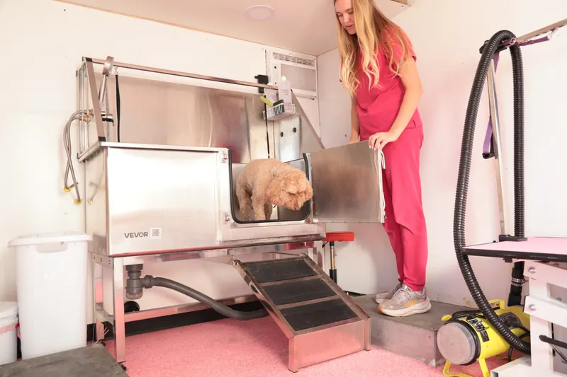 Inside the Lemon Leash truck: a walk-in stainless tub with a ramp